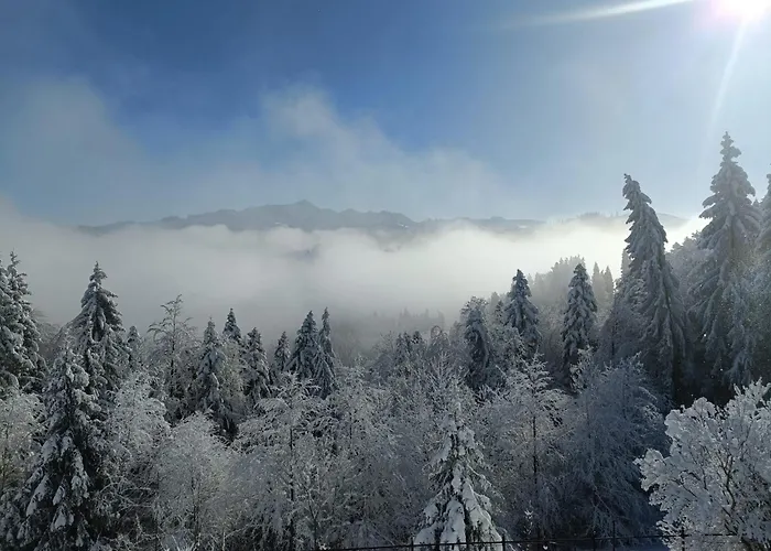 Fuchsacker Degersheim